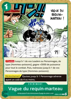 Vague du requin-marteau (EB04-020)