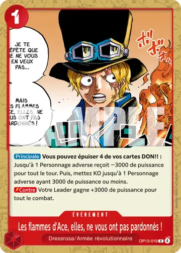 Les flammes d'Ace, elles, ne vous ont pas pardonnés !