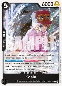 Koala (OP13-081)